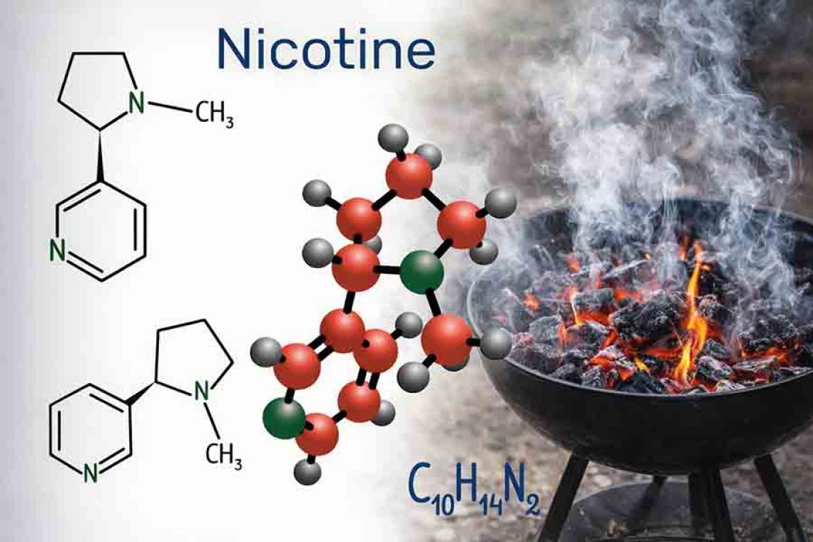 Clearing the Smoke About Nicotine by R.Perera